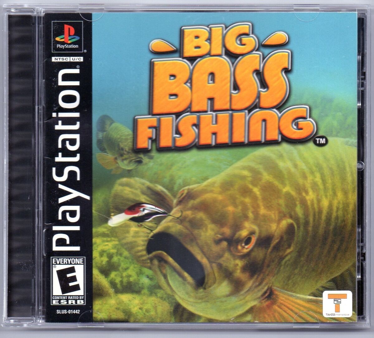 game image