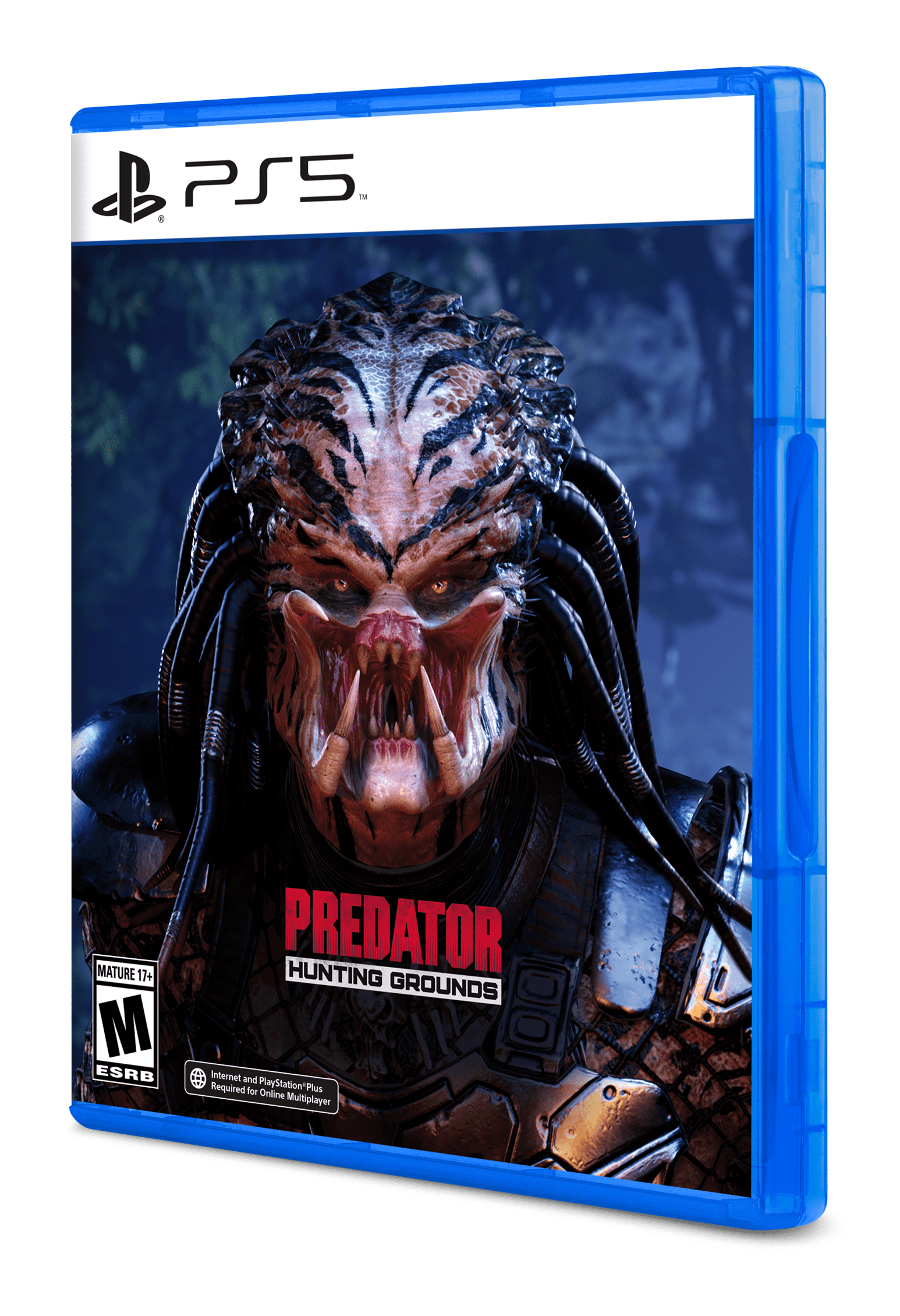 game image